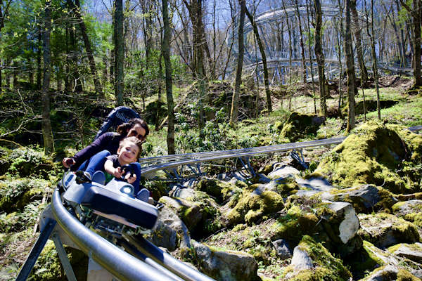 alpine coaster (1)